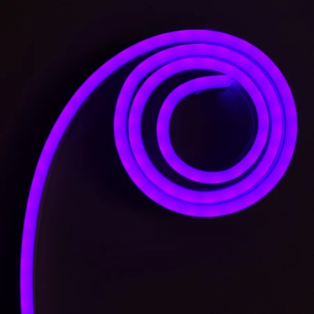 نئون ۱۲ ولت