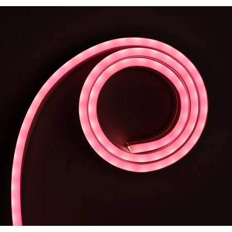 نئون ۱۲ ولت