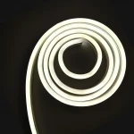 نئون ۱۲ ولت